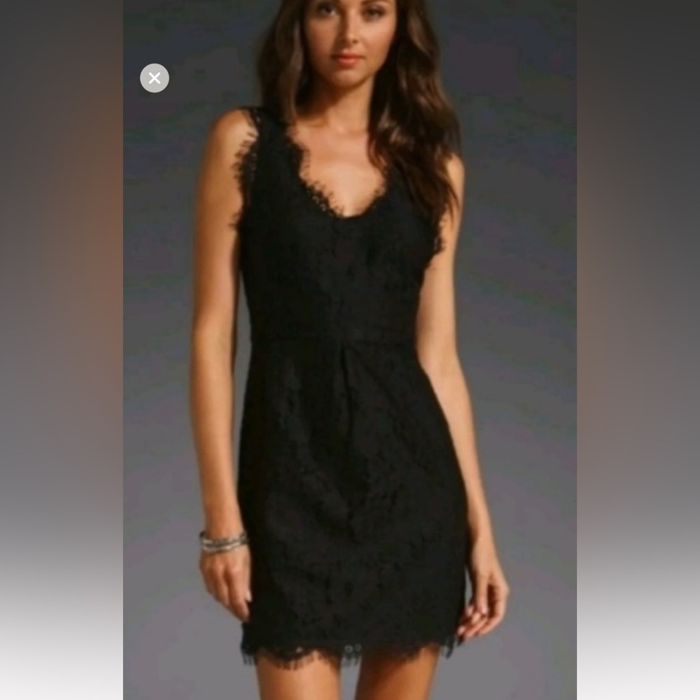 Joie lace Nikolina dress - stunning size S